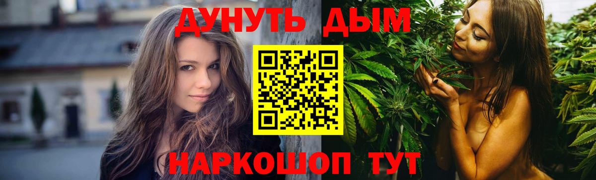 Канабис сатива Курчалой